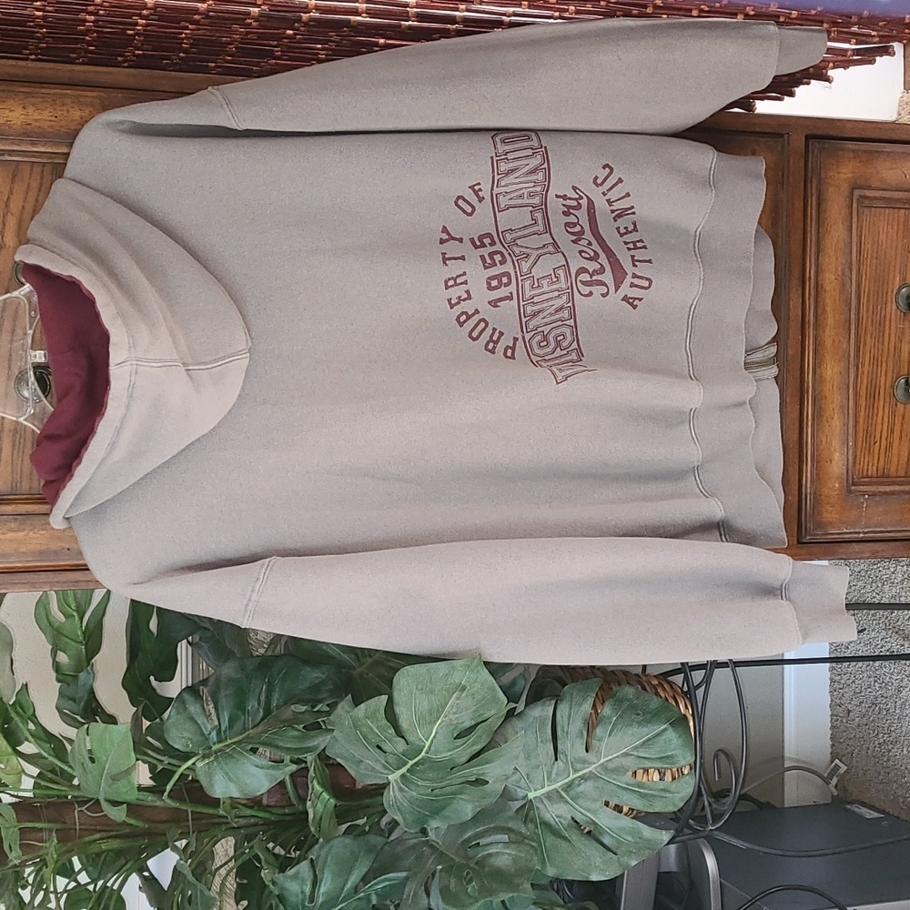 Disneyland Resort 1955 Zip front hooded sweatshirt.  Men's size M